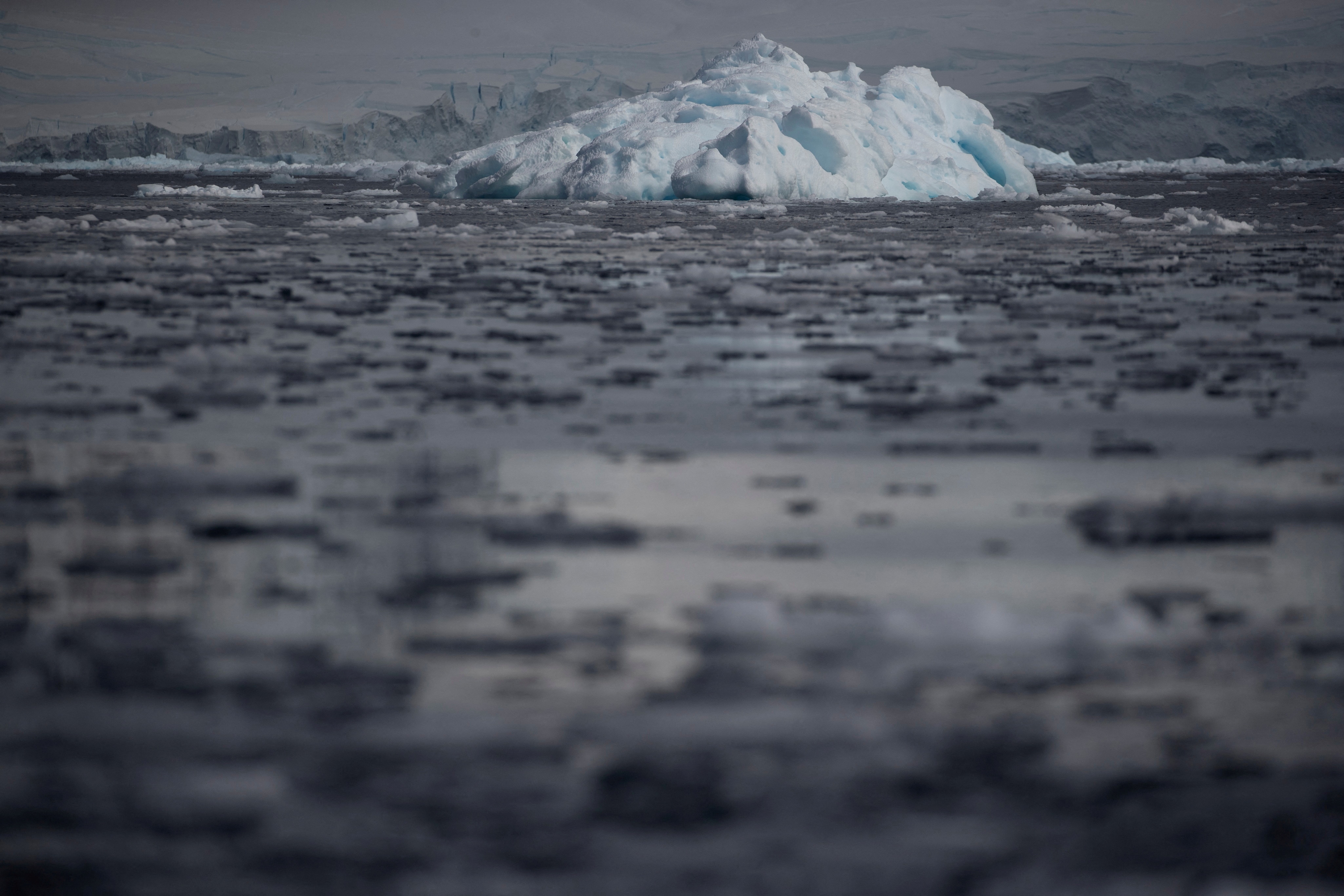 antarctic (2)