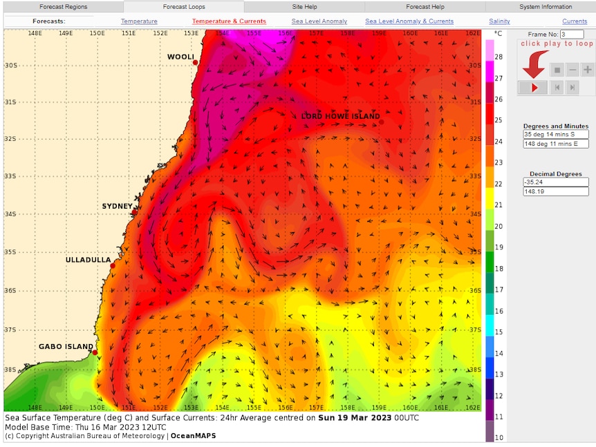 An ocean temperature map