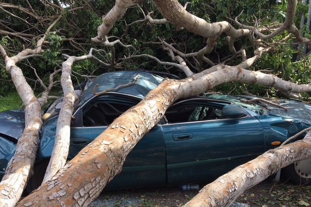 A car squashed during Tropical Cyclone Marcus.