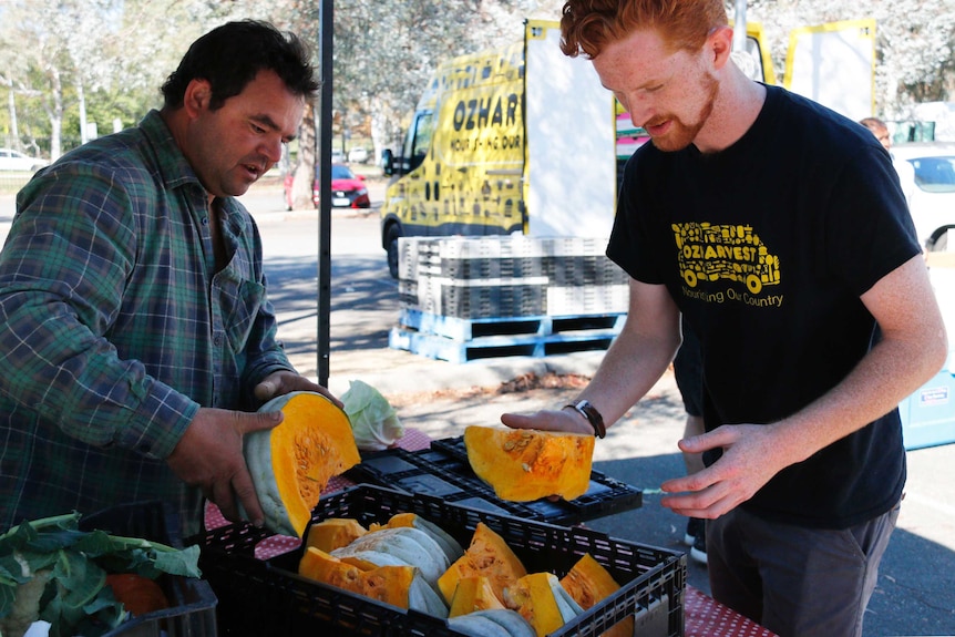 Farmer David Bridges, from Chakola New South Wales, donates a crate full of pumpkin to OzHarvest.