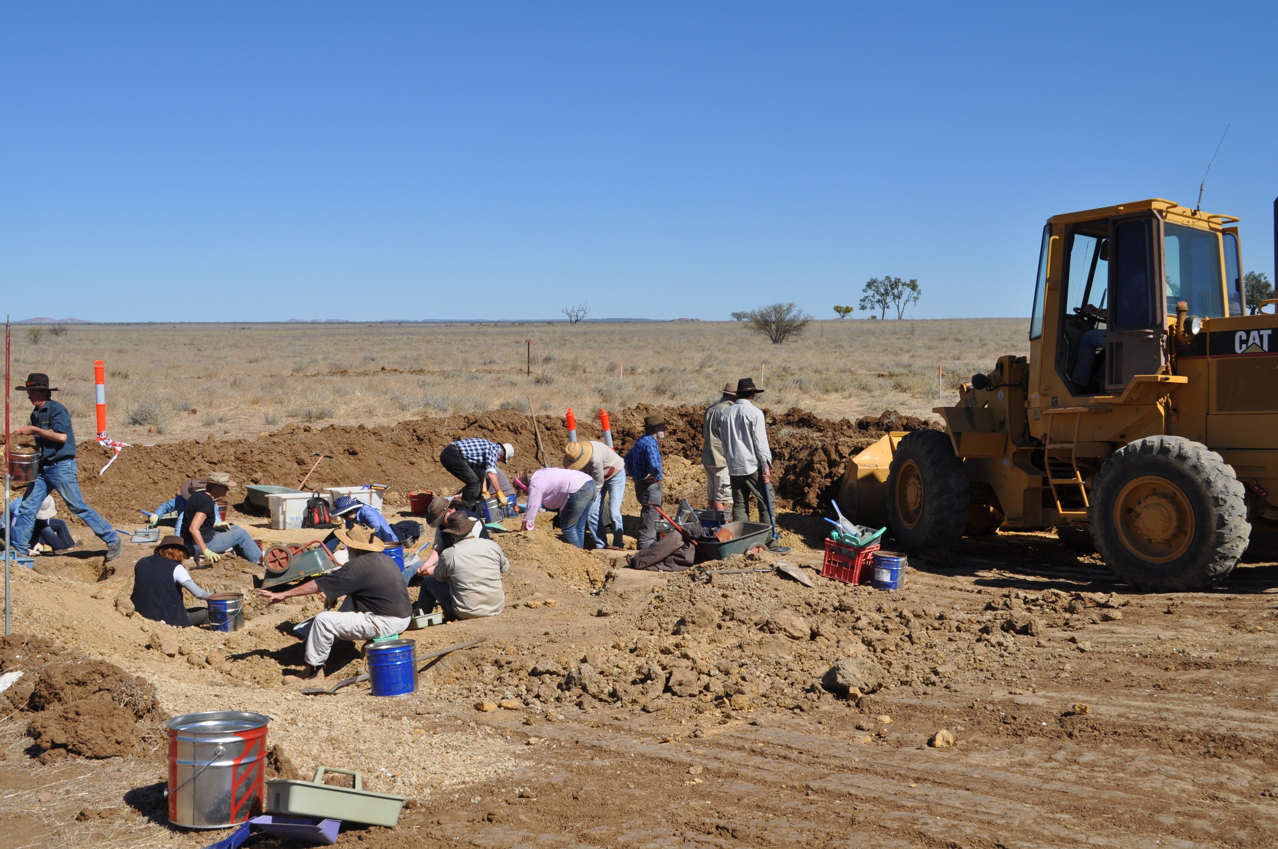 Australia S Smallest Sauropod Dinosaur Confirmed From Fossils Found In   157e5d54734f2e6ef2d63fb49ff40e80