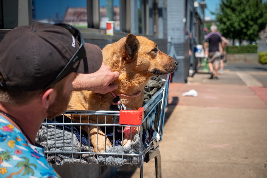 Rob pats his dog Arasmas outside a soup kitchen in Toowoomba, March 2021.