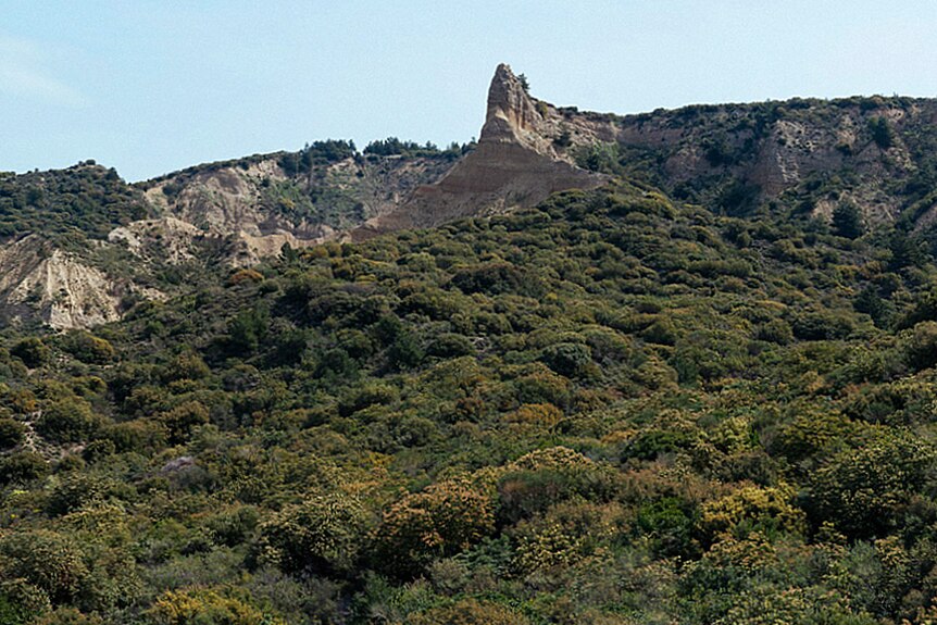 A view of the ridgeline at Gallipoli,  dominated by the landmark known as the 'Sphinx' or 'Cathedral'.