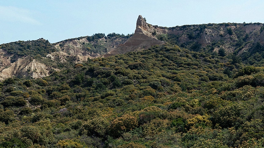 A view of the ridgeline at Gallipoli,  dominated by the landmark known as the 'Sphinx' or 'Cathedral'.