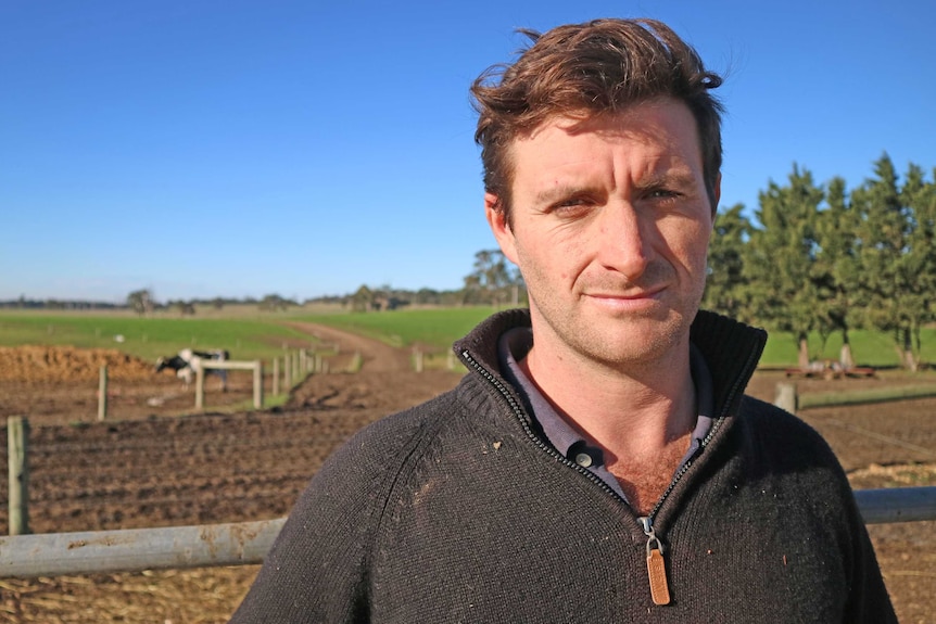 Farmer Patrick Ferguson stands in a paddock of his Flynn dairy farm