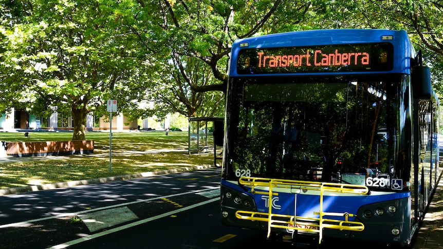 Transport Canberra bus driving along tree lined street in Canberra.