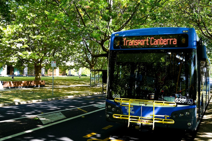Transport Canberra bus driving along tree lined street in Canberra.