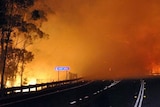 Flames from the Deans Gap bushfire glow through the smoke covering Princes Highway.
