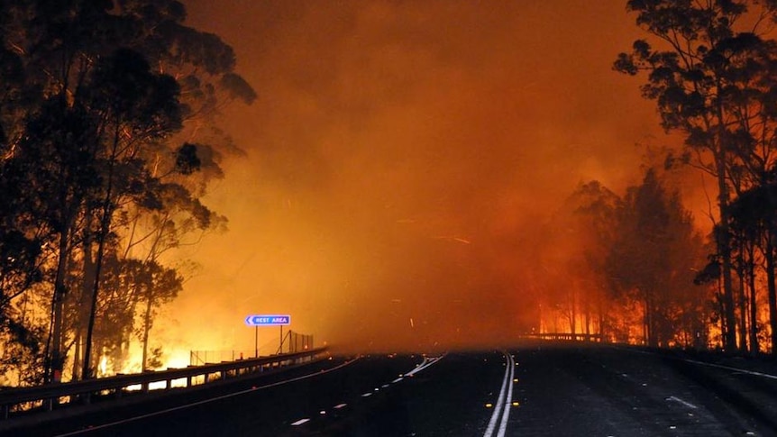 Flames from the Deans Gap bushfire glow through the smoke covering Princes Highway.