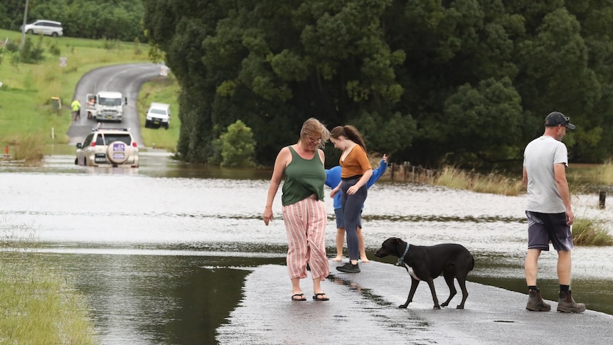 People and a dog next to flooded road with submerged car