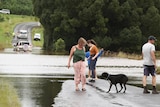 People and a dog next to flooded road with submerged car