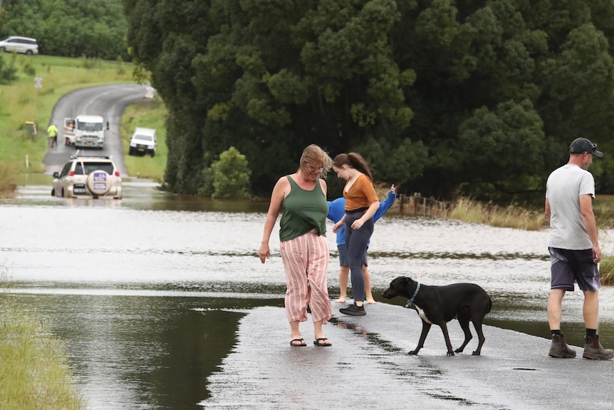 People and a dog next to flooded road with submerged car