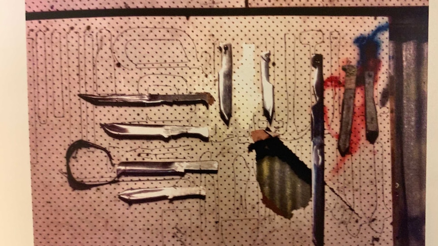 Nine homemade knives sit up hanging on a wall