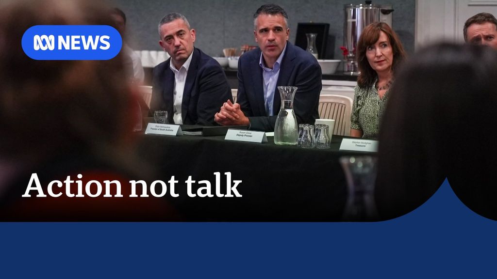 Action not talk: SA Premier speaking at a roundtable discussion.