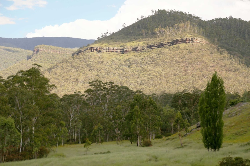 A valley in the Snowy Mountains