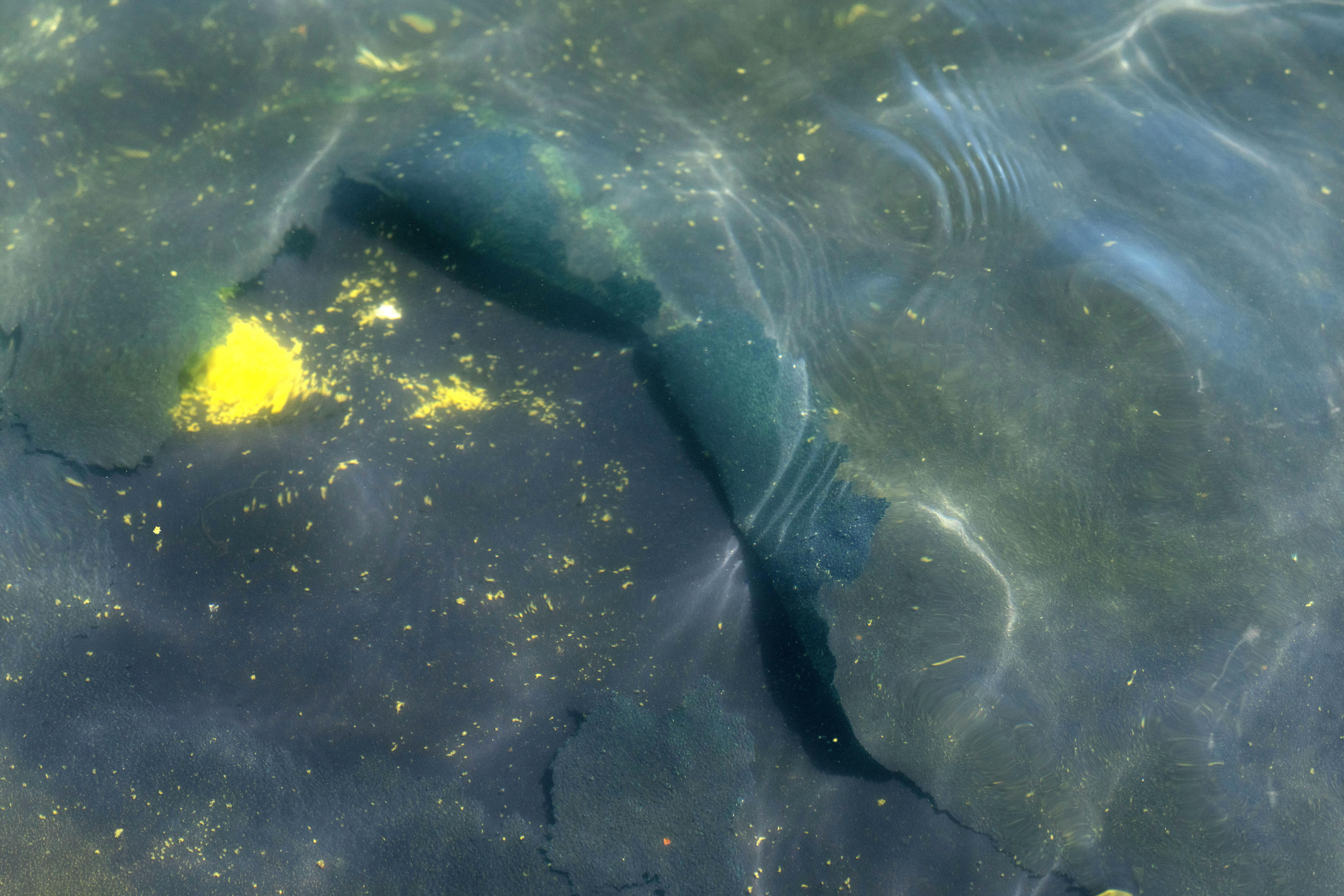 A peeling strip of blue paint at the bottom of the pool.