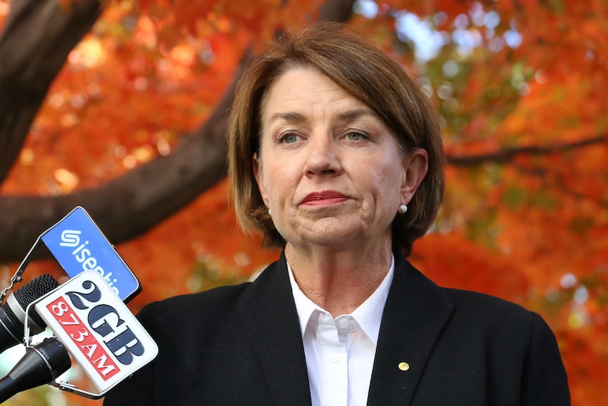 Anna Bligh in one of the Parliament House courtyards, with a tree in the background which has red leaves.