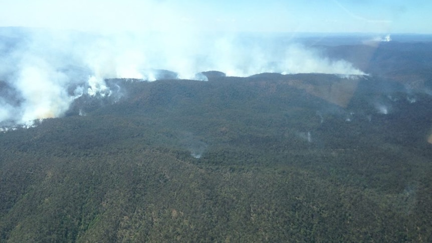 Bushfire burning in remote forest north of Coffs Harbour