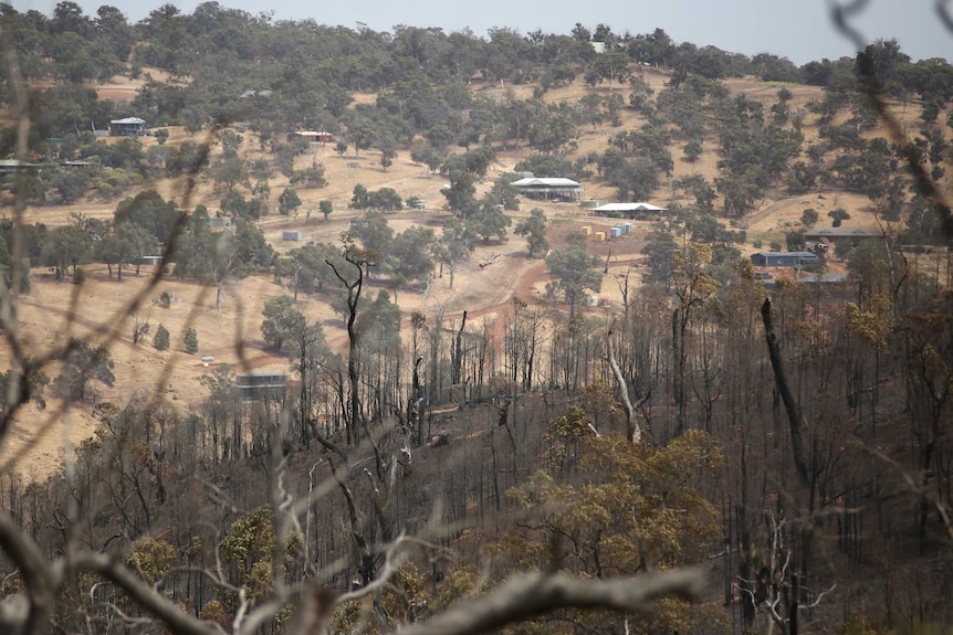 A wide shot shoing an area of burnt bushland with a semi-rural properties at  Shady Hills Estate in the background.