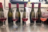 A row of unmarked wine bottles in front of a row of wine glasses.