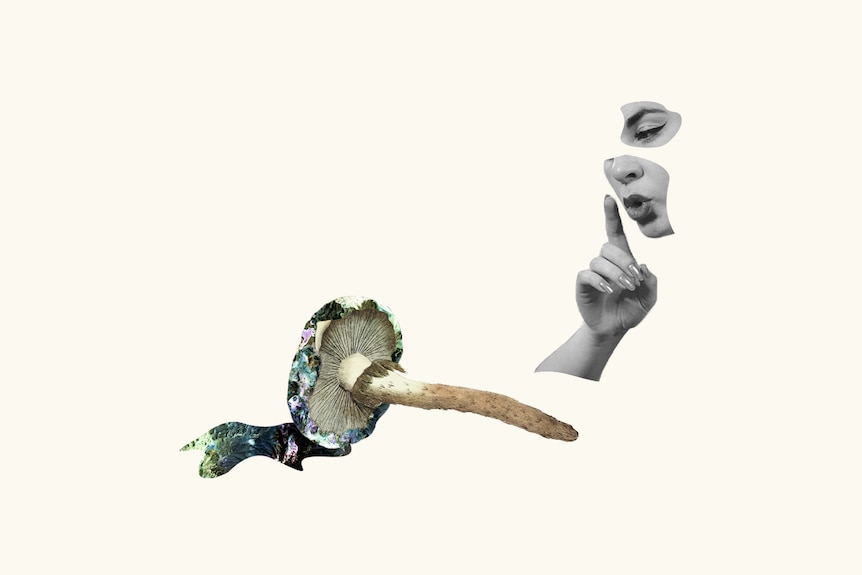 A collage image of a woman making a shush gesture to a mushroom laying on its side. 