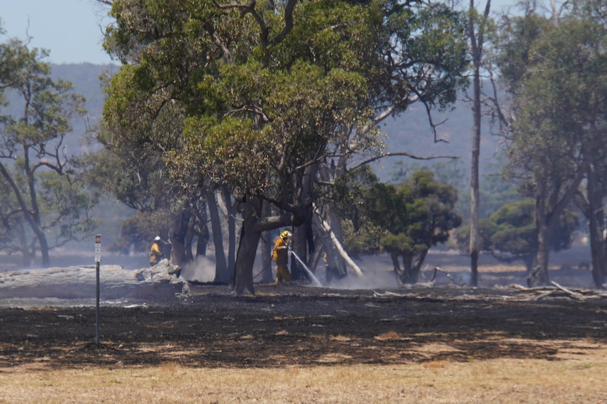 Firefighters mop up at the Keysbrook fire site.