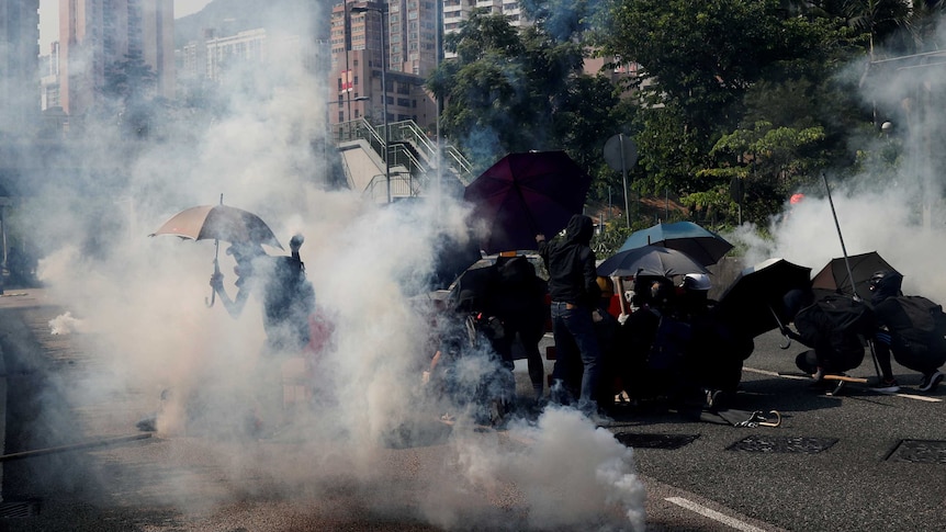 Protesters holding umbrellas shield themselves from tear gas.