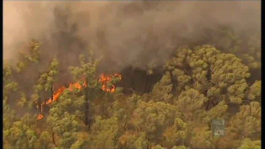 Nicolas Pierce told the hearing he did not put out spot fires as advised by the CFA.