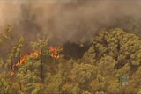 Commission probes Australia's deadliest blaze
