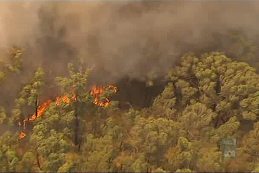 An aerial view of a bushfire burning in Kilmore East