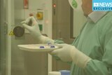 Australian scientists re-create Wuhan coronavirus
