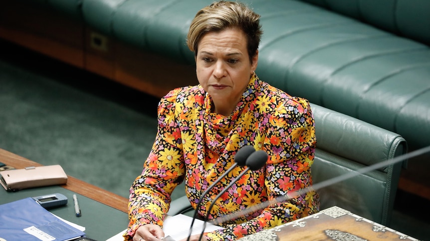 A woman with short hair and a colourful heavily pattered jacket sits at the dispatch box in the House of Representatives.