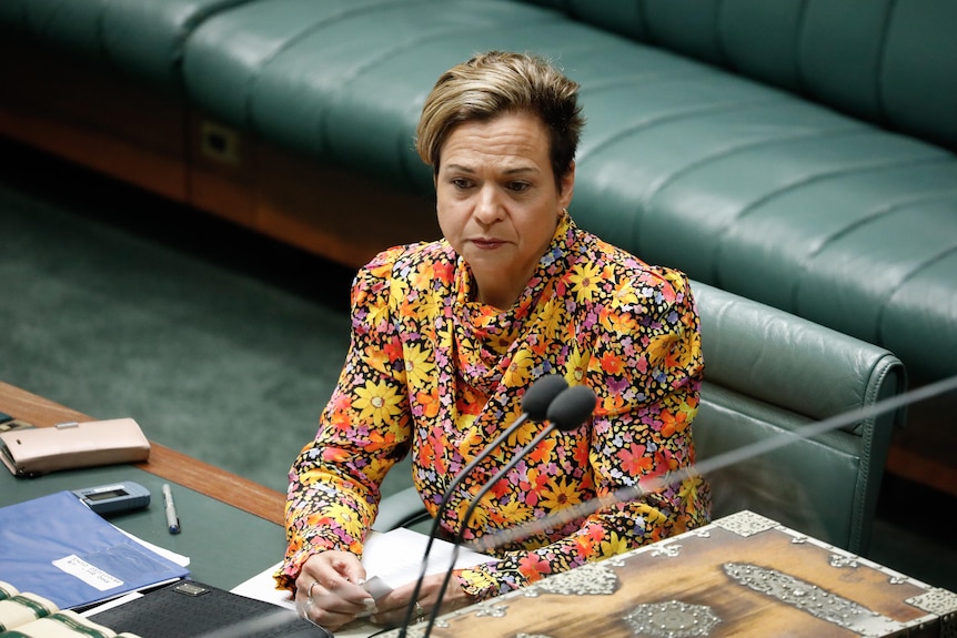 A woman with short hair and a colourful heavily pattered jacket sits at the dispatch box in the House of Representatives.