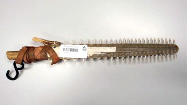 Sawfish sword seized by police