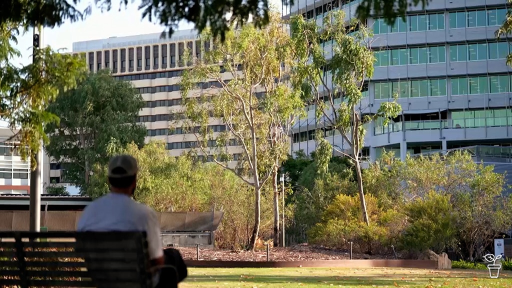 Person on bench in a tree-filled city park.