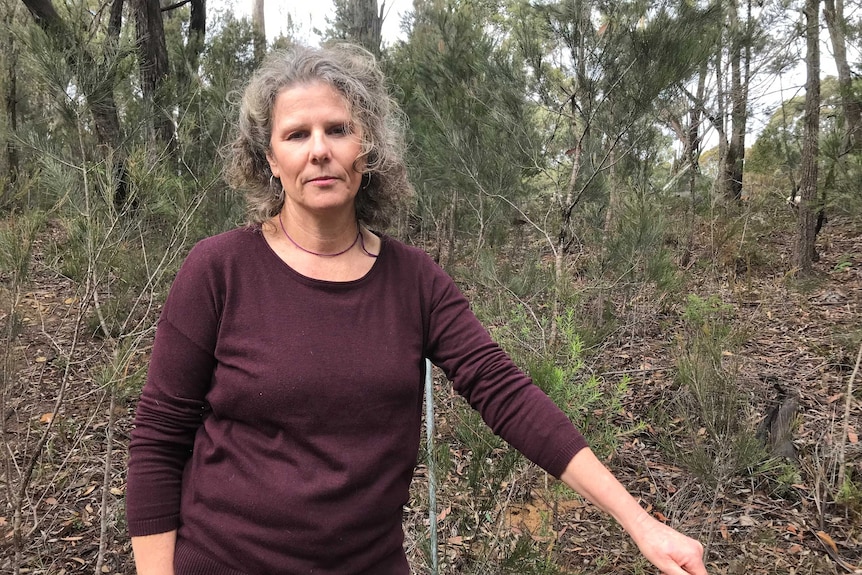 Bernadette Lawler owns a property in Sutton Forest that would border the proposed sand quarry.
