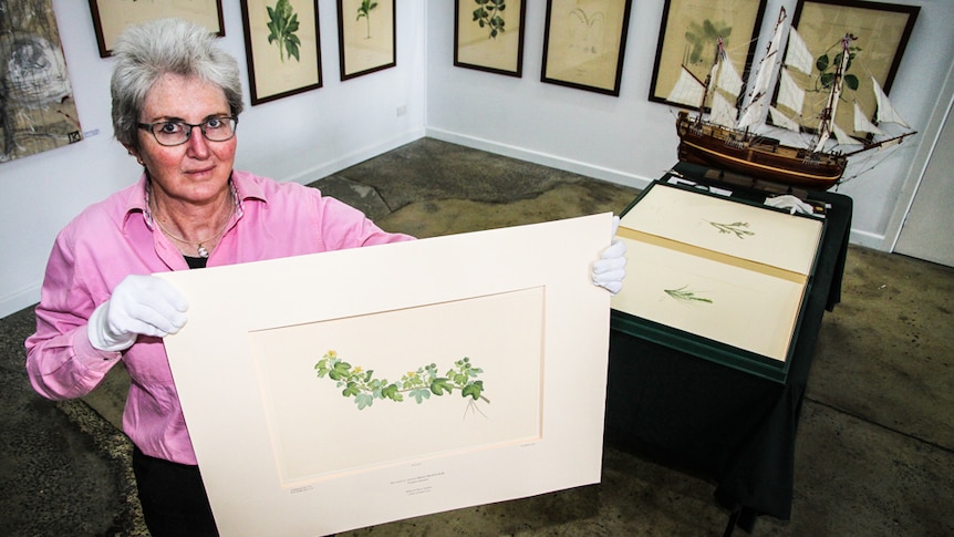 Robyn Wawn with one of the limited edition prints from Captain Cooks voyage to Australia.