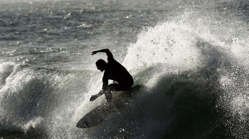 A silhouetted surfer has an early morning surf at Winkipop Beach in Victoria