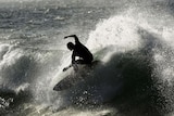 A silhouetted surfer has an early morning surf