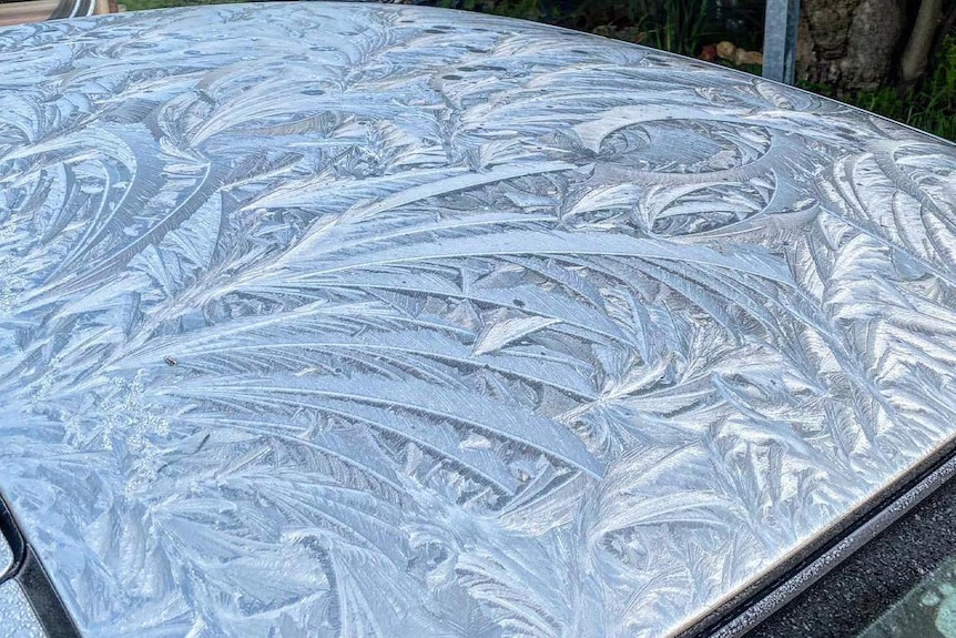 ce patterns settle on a car roof in Donnybrook, Western Australia