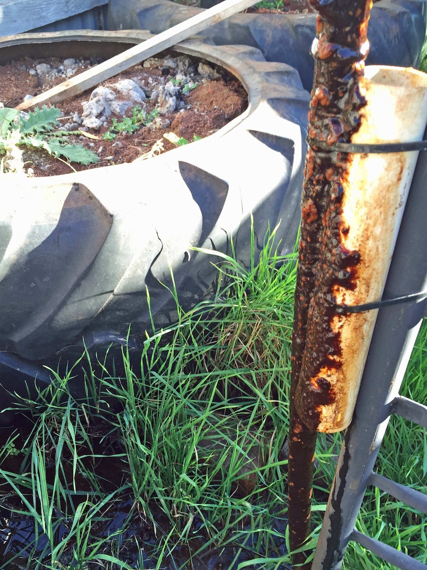 A rusty pipe delivered one Pioneer family their water