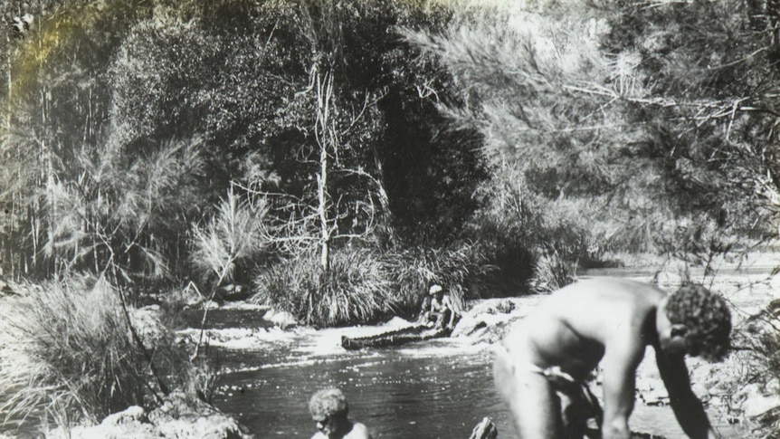Photo of Port Macquarie Aboriginals taken by Thomas Dick in the early 1900s.