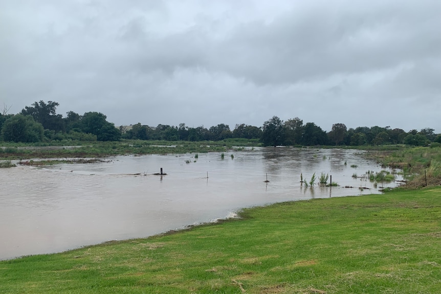 A flooded river along a plain of green grass. A fence is poking out the top of the water. Sky is grey. 