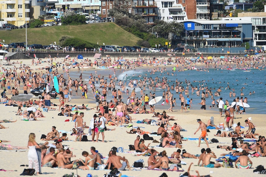 Bondi as temps reach 41C