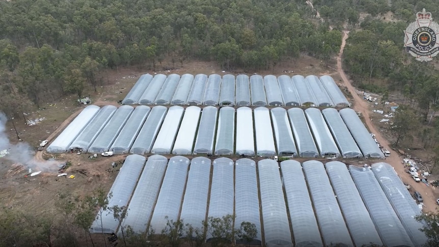 An aerial pic showing several greenhouses