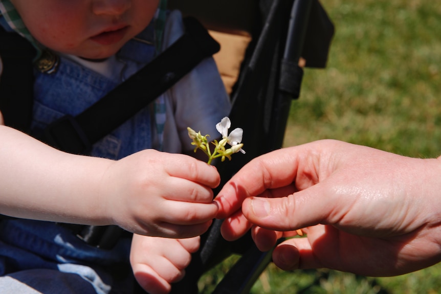 A mother hands her son a flower