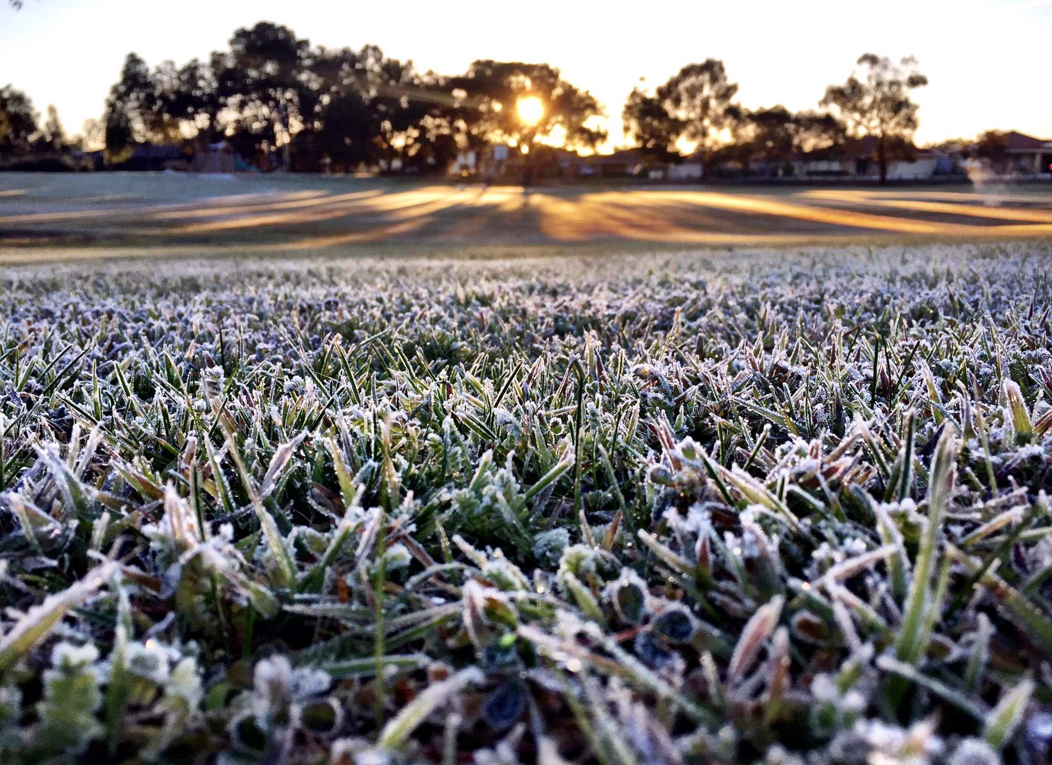 Perth and WA shiver though one of the coldest starts to winter on