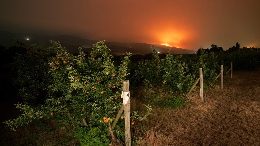 Glen Huon fire from Ranelagh Orchard 2019