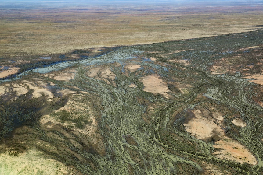 an aerial view of outback water channel country