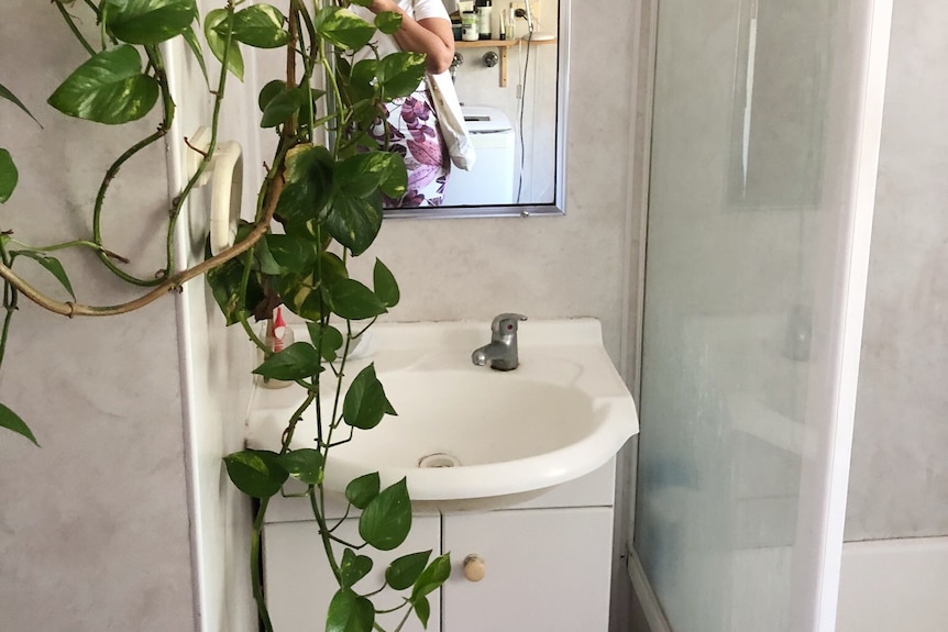 A bathroom mirror is seen with a person wearing multicoloured purple pants and a white top in it. Plant hangs on left